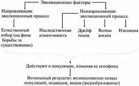 Что является материалом для эволюции. Что является материалом для эволюции