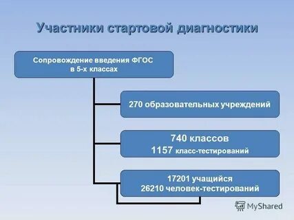 Стартовая диагностика представляет собой