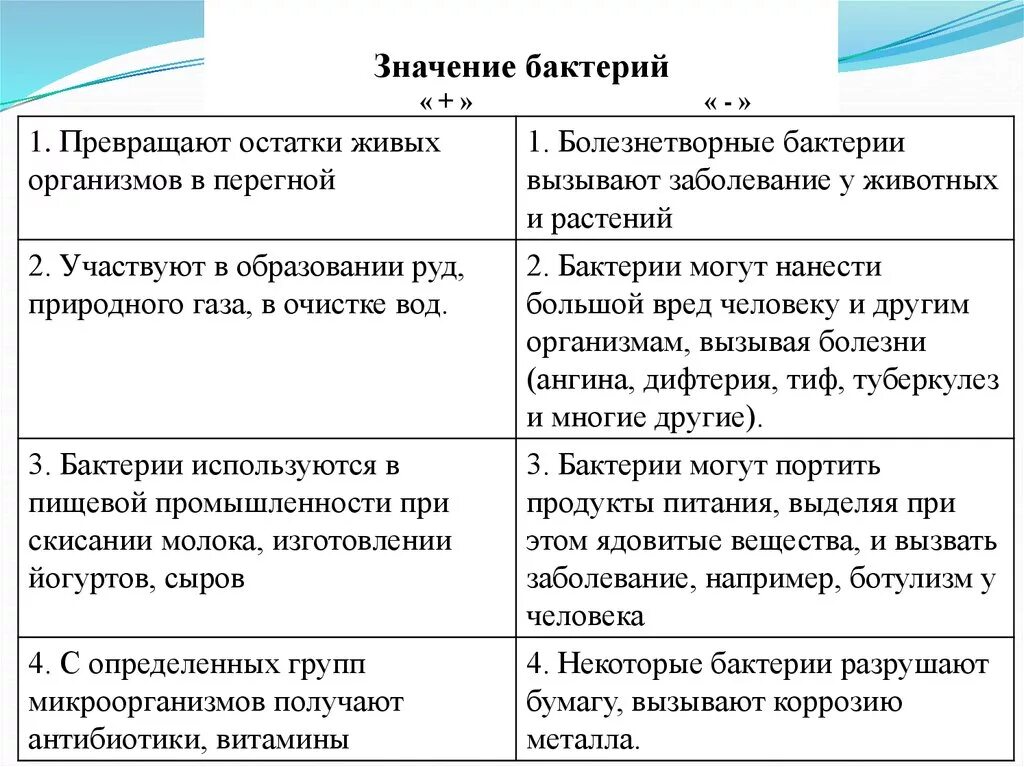 Роль бактерий в природе и жизни человека таблица. Значение бактерий. Значение бактерий в природе. Значение бактерий в жизни человека.