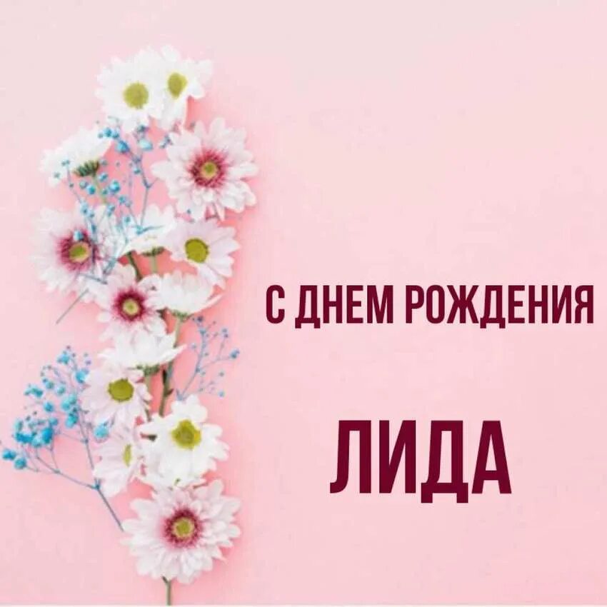 С днем рождения т лида. С днём рождения лида.