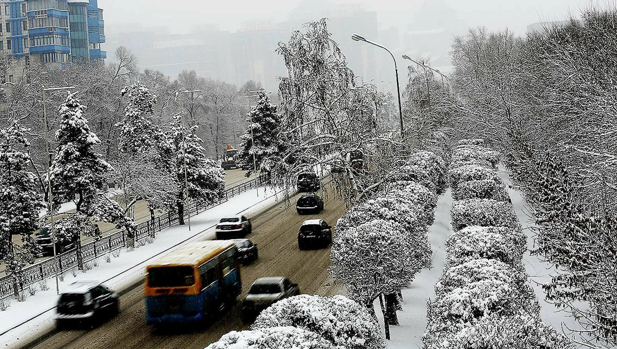 Алматы снег. Алматы зима. В Алматы выпал снег. Алматы снег фото. Буря в алматы сегодня