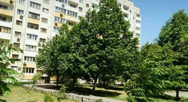 Ростов на дону кривоноса 13. Львів вулиця максима кривоноса. Кривоноса 10 ростов-на-дону. Улица кривоноса. Улица кривоноса 3 ростов-на-дону.