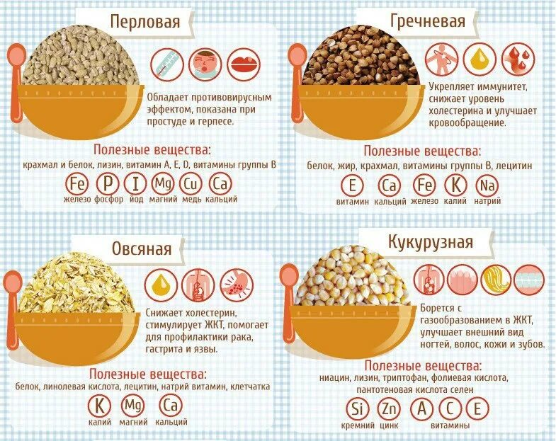 Крупы при холестерине. Путеводитель по кашам. Шпаргалка по по кашам. Полезная шпаргалка по кашам. Путеводитель по кашам в картинках.