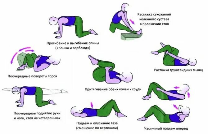 Какие упражнения делают после удаления матки. Лфк при межпозвоночной грыже поясничного отдела. растяжка спины при грыже поясничного отдела позвоночника. упражнения для спины при грыже с5л1. упражнения при грыже пояснично-крестцового отдела позвоночника.