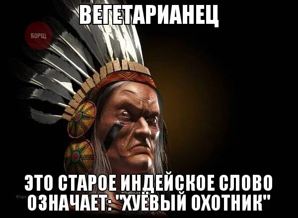 Вегетарианец с индейского. Вегетарианец плохой охотник. Вегетарианец индеец. Вегетарианец это старое Индейское слово означающее.