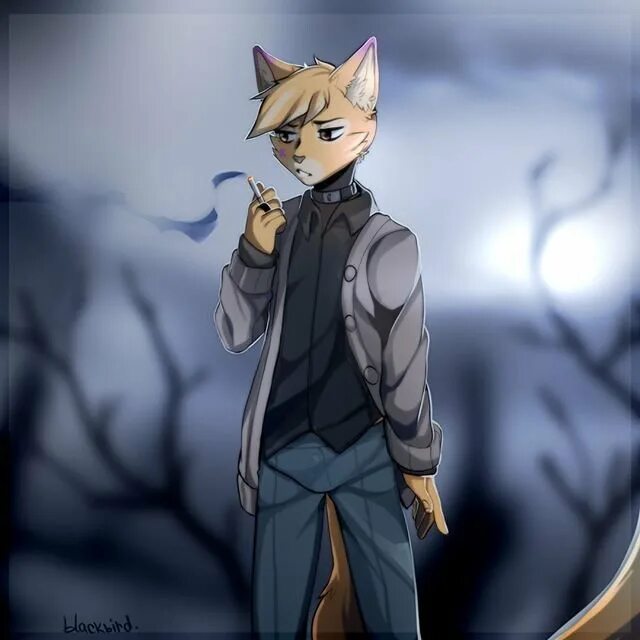 фурри кот парень. фурри парни. одежда для фурри мальчиков. фурри парни. фурри инкуб.