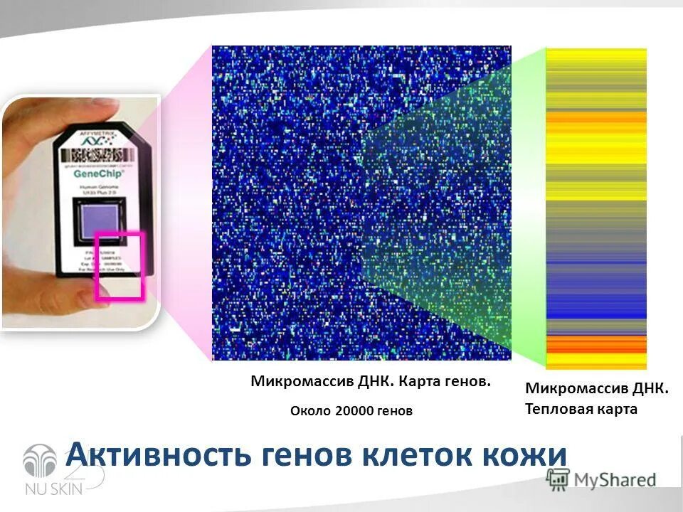 Около 20000. Около 20000. Около 20000. 20000 евро в 50 евро. Толщина мантии земли.