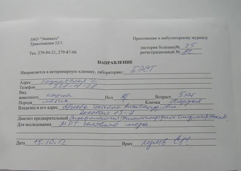 Выписка из истории болезни ребенка. История болезни. Оформление истории болезни. История болезни история болезни. 003/у);.