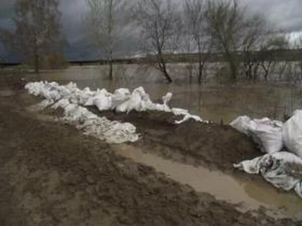 Уровень воды в чумыше сегодня заринск. Чумыш Заринск. Наводнение в Демянске 2021. Уровень воды в реке Чумыш в Тальменке. Плотина Чумыш сейчас.