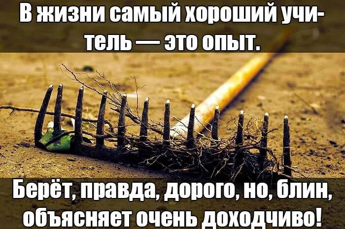 Жизнь ошибок трудных