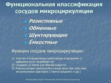 Функции артерий