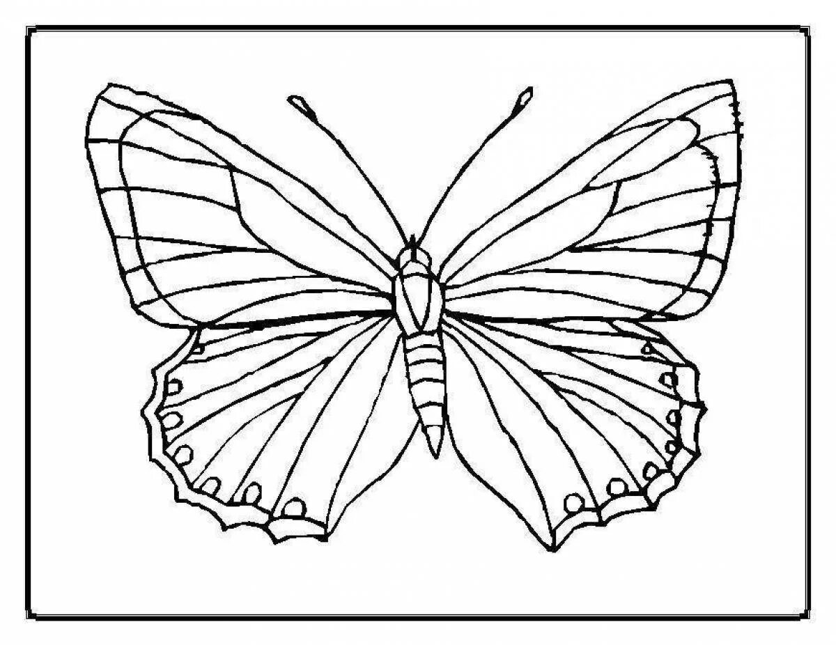 Раскраска "бабочки". Бабочка раскраска для детей. Бабочка раскраска для малышей. Раскраски бабочки красивые. Раскраска симбочка распечатать