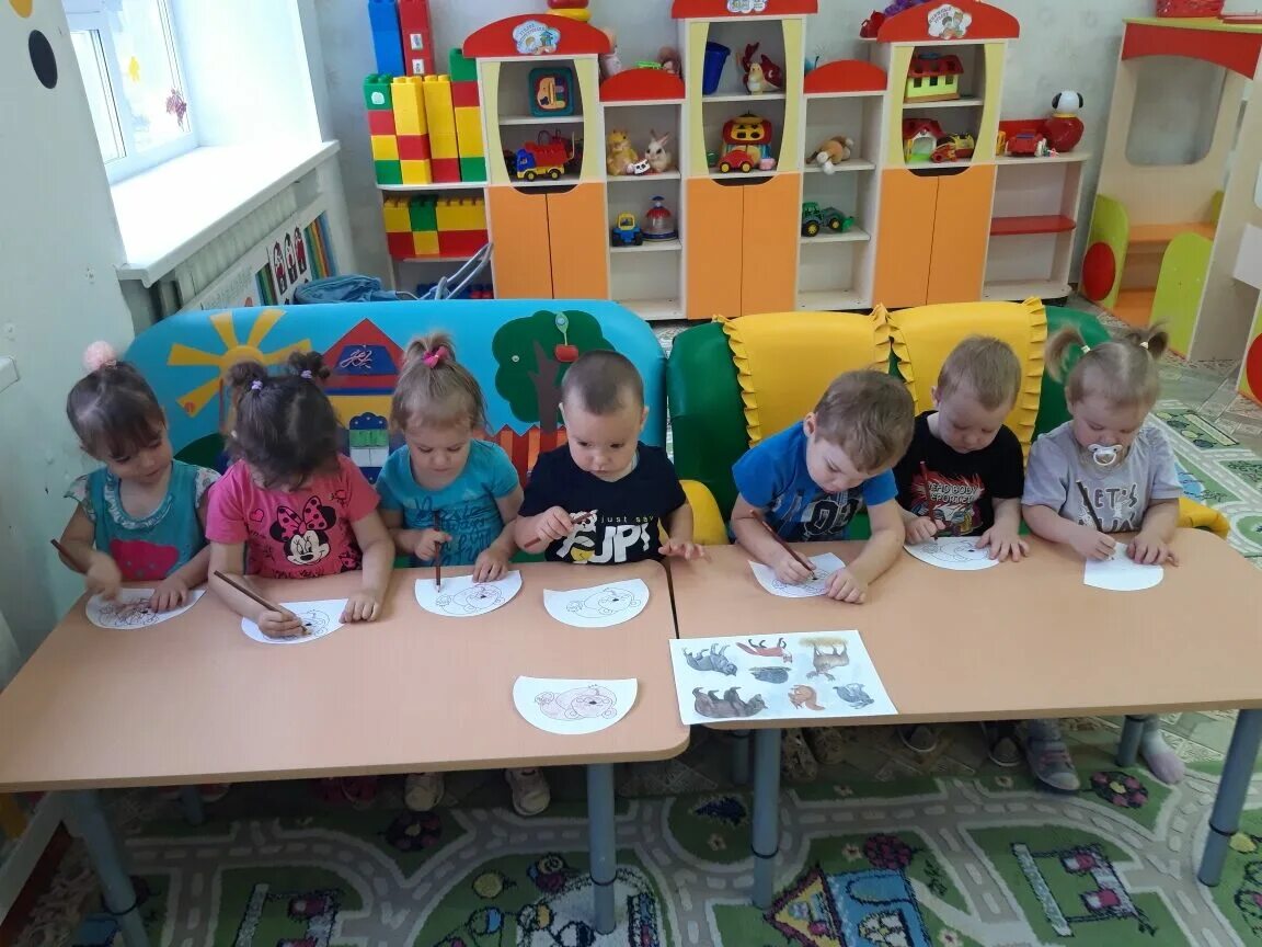 изображение птиц для детей. домашние и дикие птицы для детского сада. дикие и домашние птицы. младшая группа дикие птицы. карточки для детей.