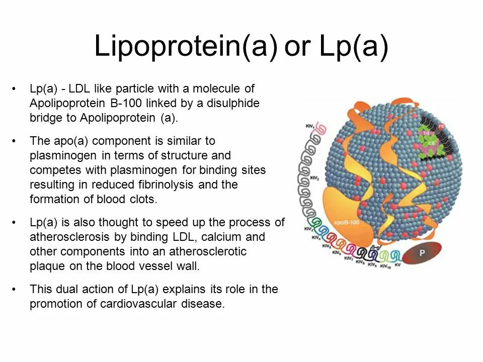 Lipoprotein. Липопротеин (a), LP(A). Липопротеиды ЛП(А). Липопротеиды а Малое.