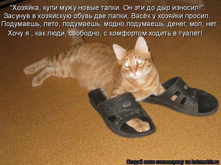 что значит тапки. белые тапки прикол. 40-45. забавные тапочки. тапочки по почте.