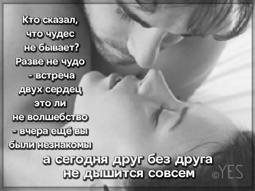 Бужу живых. Сладкий поцелуй в кровати. Самые милые животные в тик токе видео. Объятия на ночь. Утренний поцелуй.