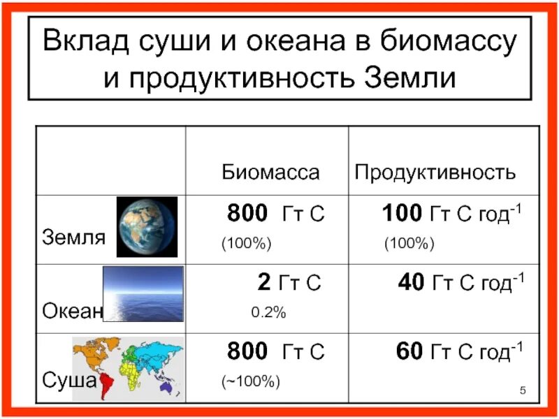 В океане находится биомассы