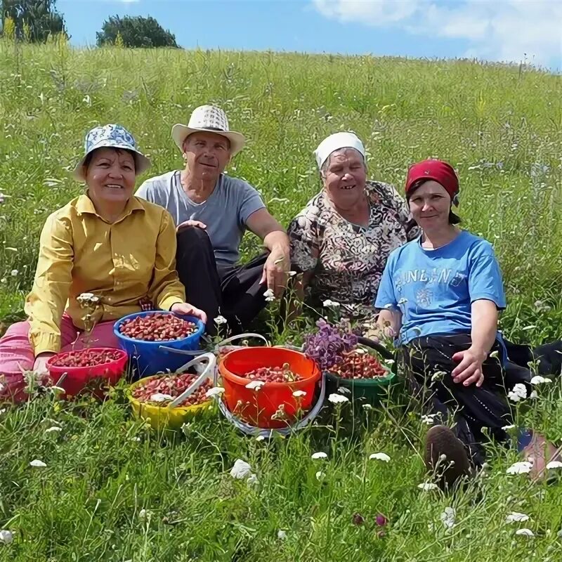 Погода в зильдярово на месяц точный. Подслушано зильдярово.
