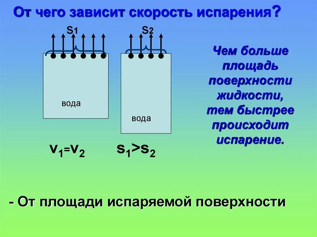 Испаряют значительное количество воды. Скорость испарения воды. Скорость испарения воды с поверхности. Скорость испарения формула. Скорость испарения воды формула.