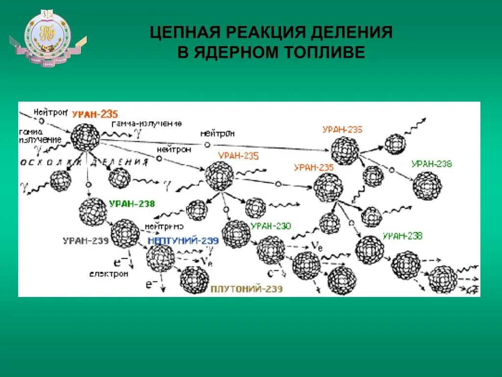 Деление ядра урана 238. Цепная реакция плутония 239. Ядерная реакция плутония 239. Цепная реакция деления ядер плутония-239. Какими нейтронами делится уран 235