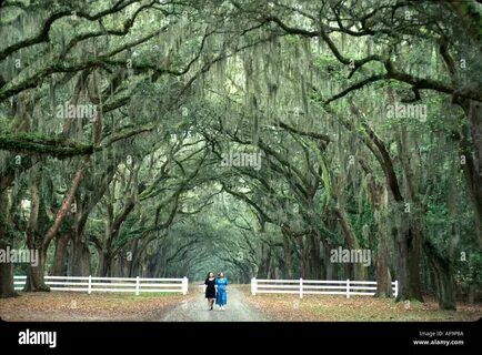 There are trees