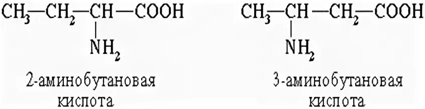 Аминобутановаявая кислота формула. 3 Аминобутановая кислота формула. 2 Аминобутановая кислота формула. 2 Аминобудтодионовая кислота формула. 1 3 аминобутановая кислота