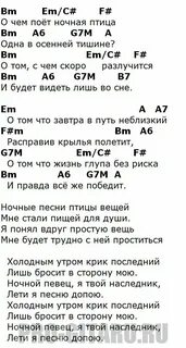 Музыкант текст песни аккорды