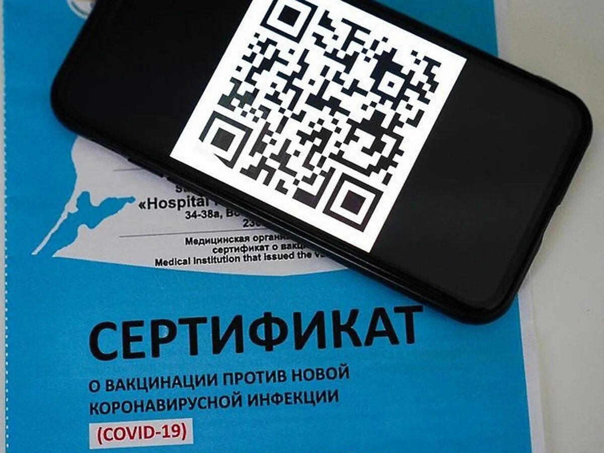 QR код. QR код правительства РФ. Госдума QR код. QR коды в музеях.