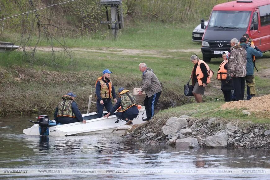 гомель набережная реки сож сегодня. паводок фото. гомель набережная. белоруссия потоп. водяной в реке.