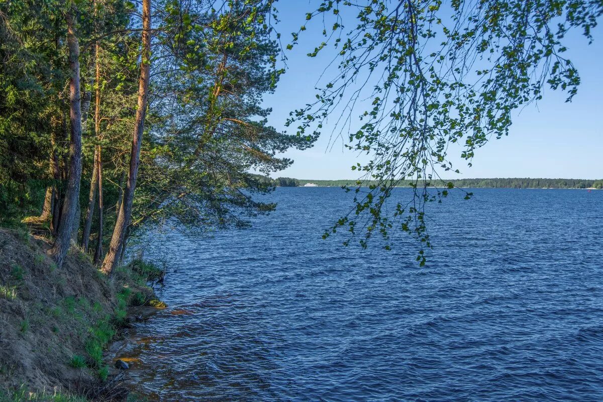 Правый берег реки волга. Конаково Волга.