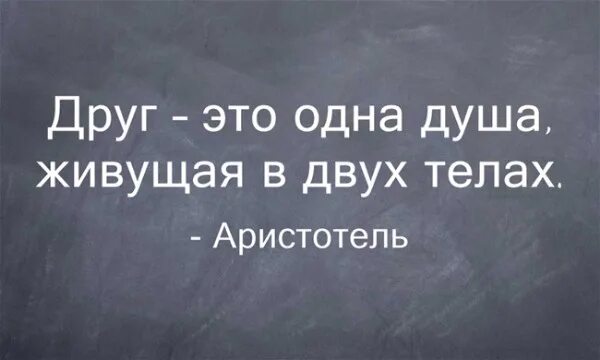 Друг это одна душа. Друг это душа живущая в двух телах Аристотель. Друг это одна душа живущая в двух. Дружба это одна душа живущая в двух телах.