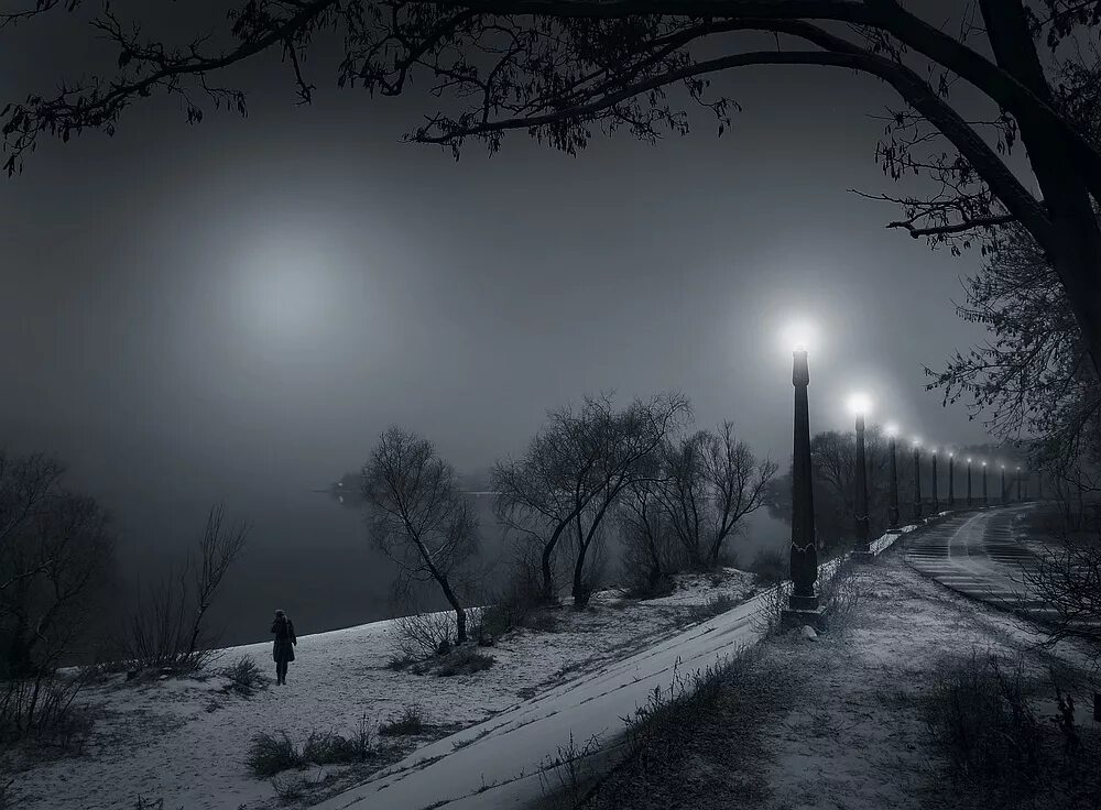 Осень туман. Холодно и сумрачно. Мистические пейзажи. Ночной лес. Мрачная зима.