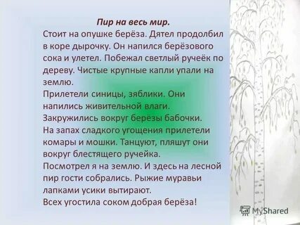 Чистотел на опушке березового леса