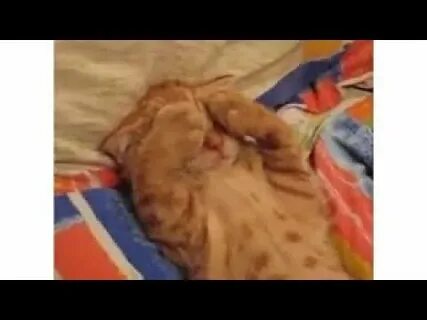 Ролики вставай