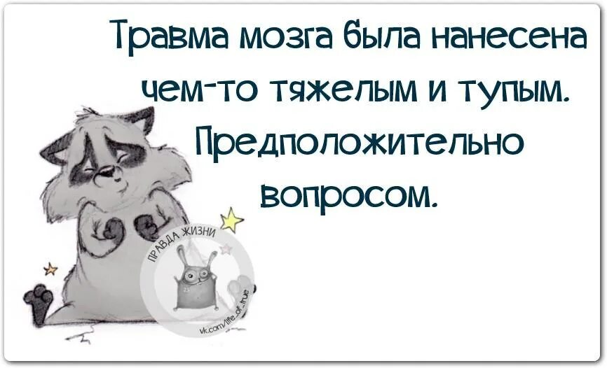 Глупый тяжело. Юмор про жизнь. Травма мозга была нанесена чем-то тяжелым. Картинки правда жизни с иронией. Травма мозга нанесена тупым предположительно вопросом.