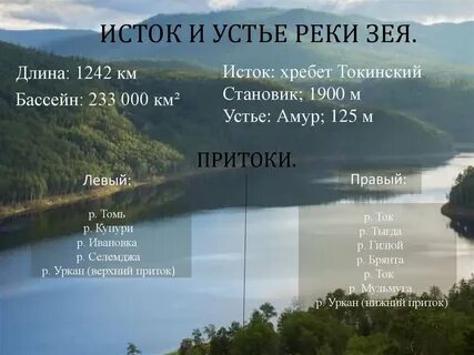 Где устье реки амур