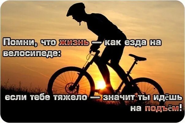 Что значит байки. Высказывания про велосипед. Цитаты про велосипед и жизнь. Цитаты про велосипед. Велосипед цитаты и афоризмы.