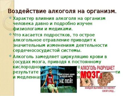 Ввели административную ответственность за склонение к алкоголизму