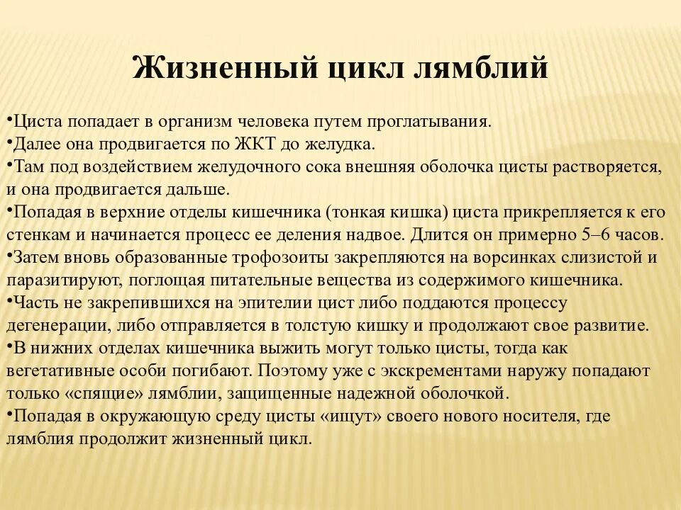 Как вывести лямблии из организма. Жизненный цикл цисты лямблий. лямблии презентация. жизненный цикл лямблии кишечной. лямблии в окружающую среду попадают с.