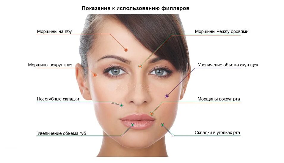 Лицо человека скулы. Строение верхней губы человека. Как называются губы на лице. Как называются губы на лице. Как называются губы на лице.
