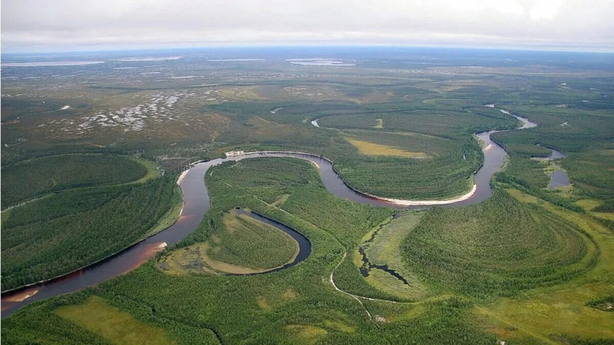 Почему низина. Западно Сибирская равнина. Западно-Сибирская равнина равнина реки. Низменности Западно сибирской равнины. Западно-Сибирская равнина фото.