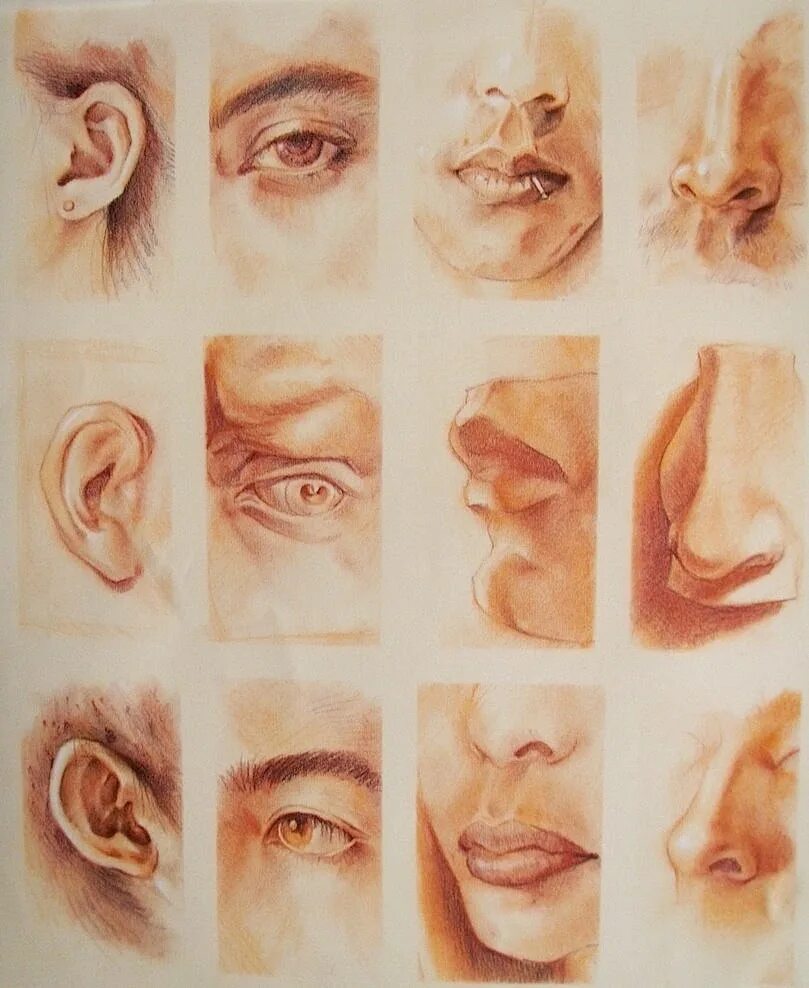Уши и глаза дома. Зарисовки частей лица. Рисование частей лица. Рисование отдельных частей лица. Зарисовки частей лица в различных ракурсах.