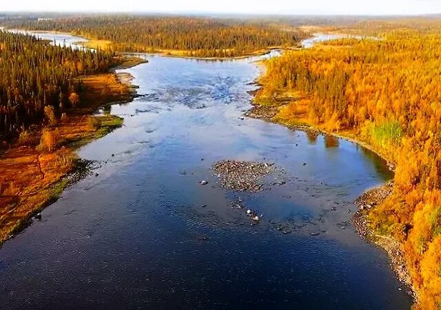 Умба Кольский полуостров. Кольский полуостров река Умба. Река Умба Кольский. Озеро Умба Мурманской. Реки озера мурманска