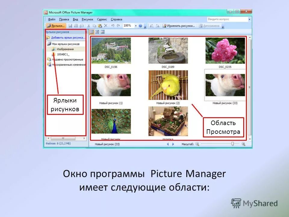 Программа picture manager. Microsoft office picture manager или диспетчер рисунков. microsoft office picture manager для windows 10. картина программа. live picture программа.