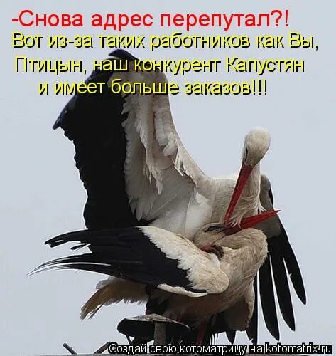 Была исправлена опечатка. Адрес перепутала. Корректная электронная почта. Адрес перепутала. Адрес перепутала.