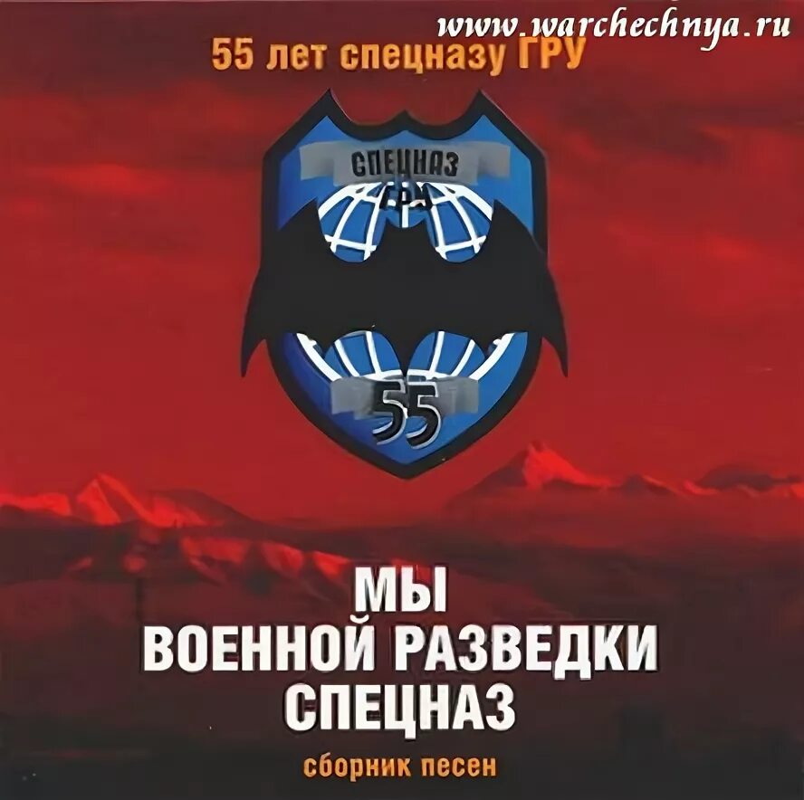 Спецназ с гитарой. Певец в военной форме. Бой армейских песен. Поют дембеля. Песня вдв.