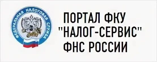 Fns reg. ФКУ налог сервис. Налог-сервис ФНС. Налог сервис логотип. Структура ФКУ налог-сервис ФНС России.