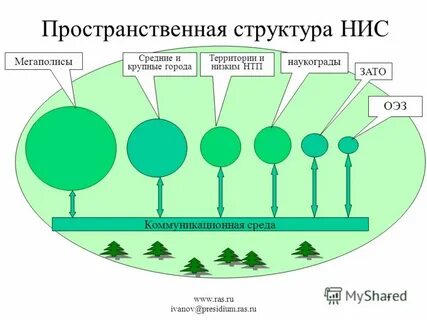 Средняя среда