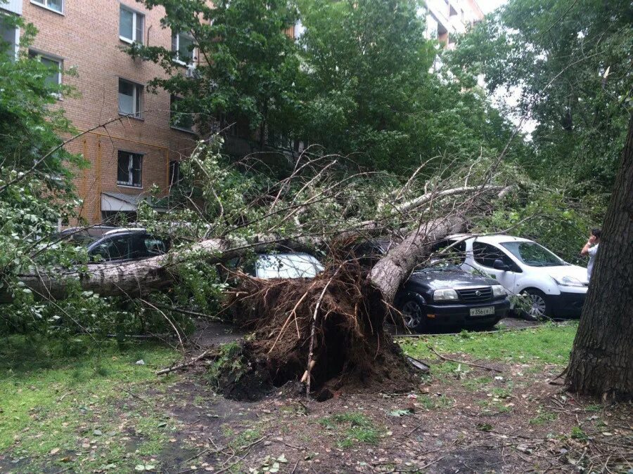 В москве ожидается ураган. Ураган в Москве 1998. Сильный ураган в Москве 1998. Ураган в Москве 1997. Ураган в Москве 1998 Кремль.