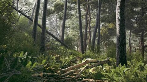 Scene environment